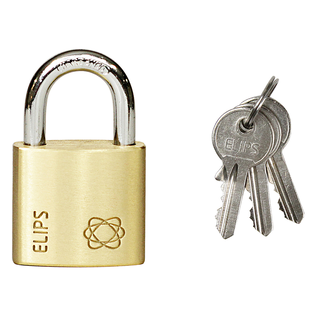 94828-8592218038217-d-rvelips30-2020 www 300 1200 12002